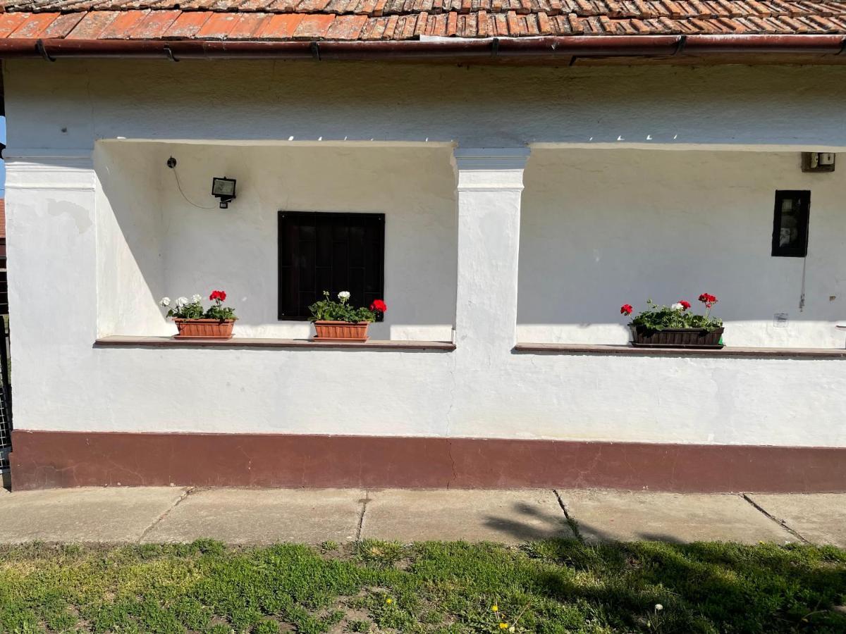 Apartament Zsuzsa Apartman Poroszló Zewnętrze zdjęcie